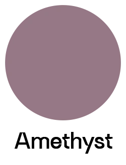 Webbing Dusky Orchid